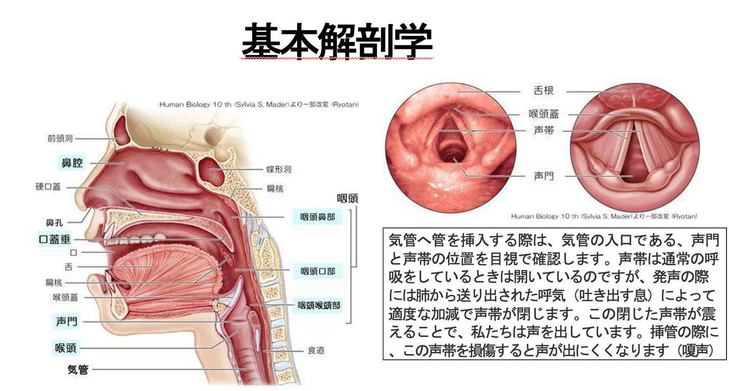 気管挿管の介助テキスト